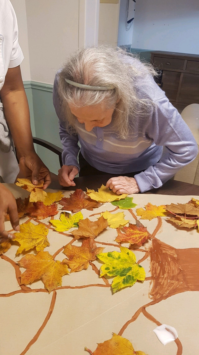 Quelques activités à l'UVA